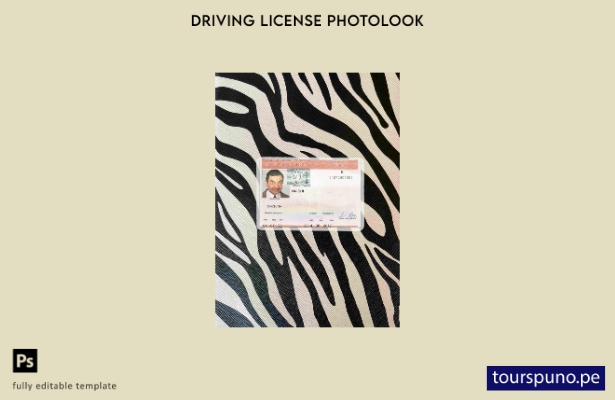 Plantilla FRONTAL lista para imprimir Cuba DL photolook